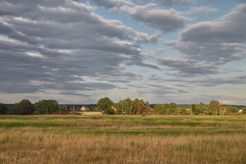 Landscape with green and yellow grass, trees and houses, with beautiful clouds in the background at...