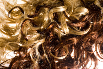 cheveux blonds et bruns bouclés - obrazy, fototapety, plakaty