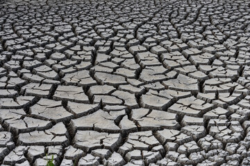 Cracked earth in dry area