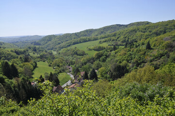 Naklejka premium blick von burg falkenstein auf den pfälzer wald
