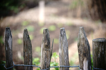 Holzzaun / Die zugespitzten Enden von Holzpflöcken eines mit Draht zusammengebundenen Gartenzauns.