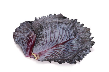Red cabbage leaf isolated on white background