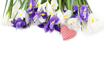 Bouquet of iris flowers isolated on a white