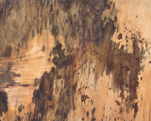 Abstract, wood surface, old, weathered, grungy, brown background