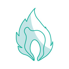 Fire burn flamme icon vector illustration graphic design