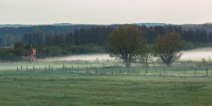 Hochsitz im Nebel