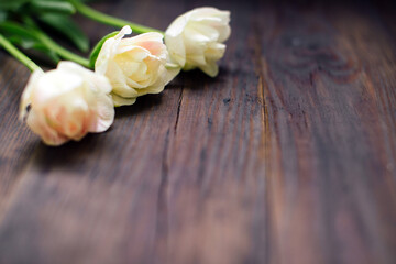 White tulips on old wood table,