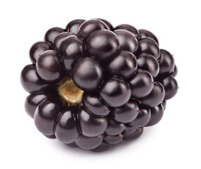Ripe blackberry isolated on white background with clipping path