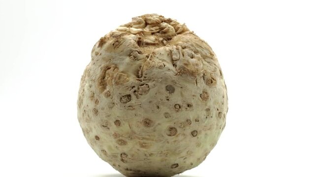 celeriac closeup on white background - sequence - different shots