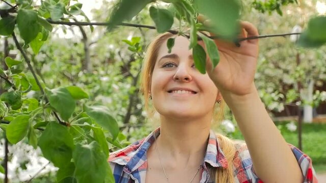 Closeup slow motion shot of beautiful smiling woman cutting apple tree branches with pruners