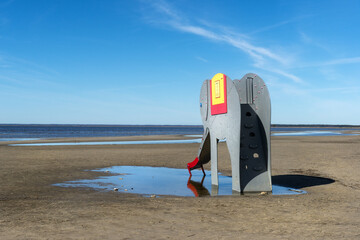 Słoń na plaży © Kamil_k2p