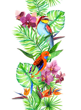 Tropical leaves, exotic parrot bird, orchid flowers. Seamless border. Watercolor stripe