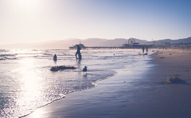 Sunset on the beach and silhouettes of people. San Francisco