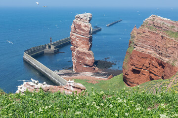 Cliff Lange Anna at western point of German island Helgoland