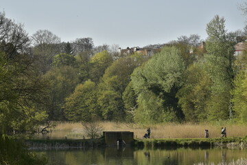Promeneurs sur le passage entre le petit et le grand &eacute;tang de Lange Gracht au printemps &agrave; la for&ecirc;t de Soignes &agrave; Auderghem 