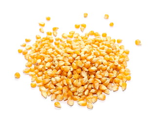 yellow grain corn isolated on white background, for popcorn