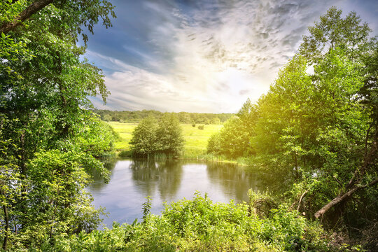River bank with the green trees and meadow