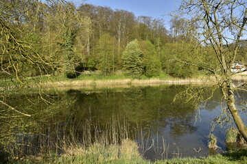 Fototapeta na wymiar Le petit étang de Lange Gracht avec sa végétation sauvage à côté de l'abbaye du Rouge-Cloître à la forêt de Soignes à Auderghem 