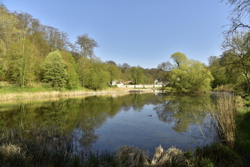 Fototapeta na wymiar Le petit étang de Lange Gracht avec l'abbaye du Rouge-Cloître en pleine nature sauvage de la forêt de Soignes à Auderghem 