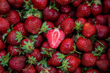  Strawberries - lots of strawberries