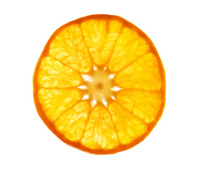 Slice of delicious citrus fruit on white background