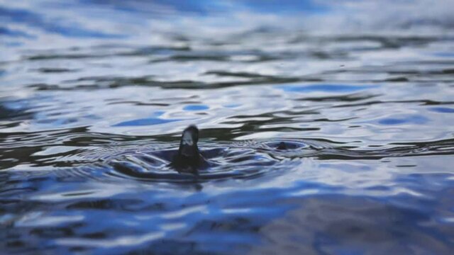 ocean water surface with drop of falls, slow motion