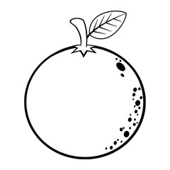 Black And White Orange Fruit Cartoon Lines Drawing. Illustration Isolated On White Background