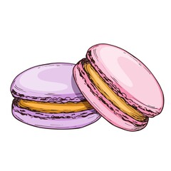 Sketch colorful graphic macarons cakes illustration, draft silhouette drawing, isolated on white background. Delicious vintage etching food design.