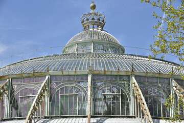Fototapeta na wymiar La structure monumentale de verre et de fer du dôme abritant le Jardin d'Hiver des Serres Royales de Laeken 