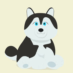 Cute Baby Sybirian Huskey sitting on ground with pastel background