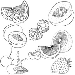 Vector line art illustration with food. Set with various fruits and berries. Illustration for menu, cookbook or coloring book. Sketch isolated on white background