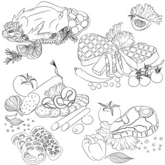 Line art various meat products