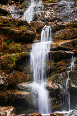 Fototapeta na wymiar Waterfall in the mountains. Golden autumn in the Carpathians Ukraine. Travel.
