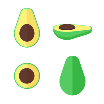 Vector avocado fruit set in flat style isolated on the white background