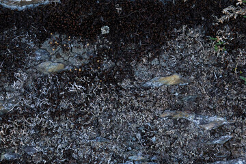 rocks, gray rocks, sharp, close-up