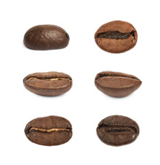 Single coffee bean isolated