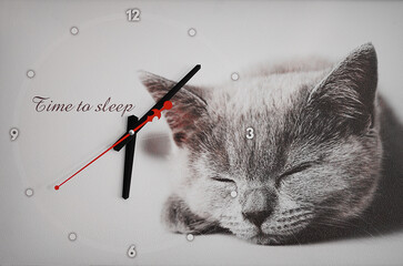 Time Clock Time to sleep Cat