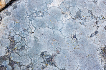gray white-colored beautiful stones, rocks with moss, close-up, nature, texture