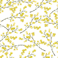 Seamless pattern with yellow mimosa. Watercolor hand drawn