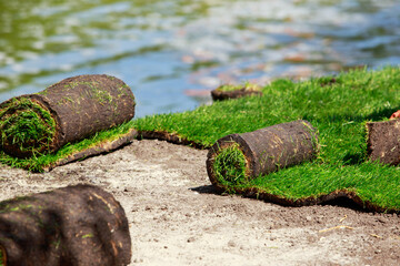Green lawn grass in rolls