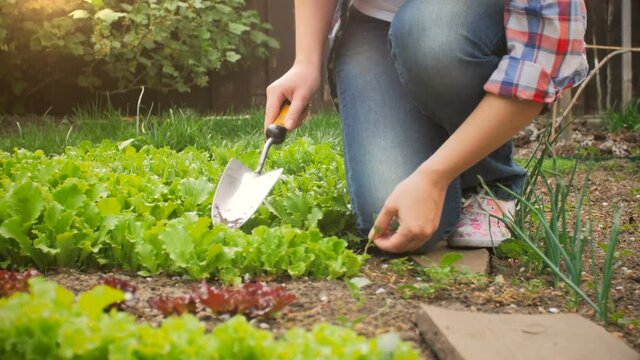 4k closeuip shot of young woman working at garden with gardening tools