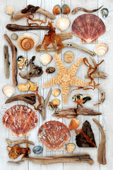 Seashell, driftwood, seaweed and rock abstract collage on white wood background featuring starfish and scallop shells.