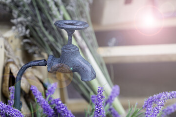Decorations for the wedding, event organizer.
