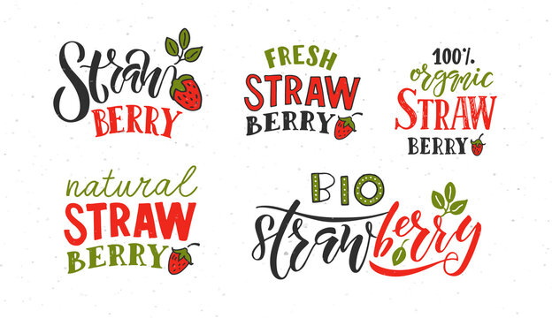 Hand sketched strawberry lettering typography. Concept for farmers market/organic food/natural product design/juice/pie/jam