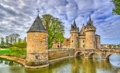 Fototapeta na wymiar Chateau de Sully-sur-Loire, on of the Loire Valley castles in France