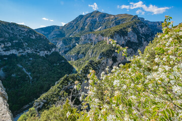 Vue panoramique sur les Gorges du Verdon. Provence. France.