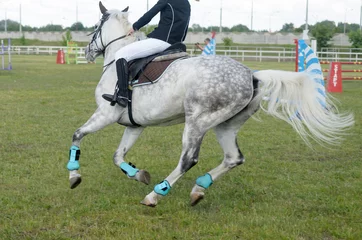 Fotobehang Competitions in equestrian sport with overcoming obstacles. © gelmold