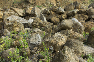 Dolomite rock in an old quarry as