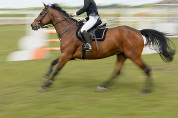 Competitions in equestrian sport with overcoming obstacles.