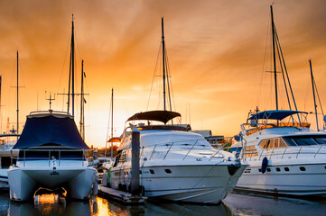 Plakat Yacht and boats docking at the marina in the evening